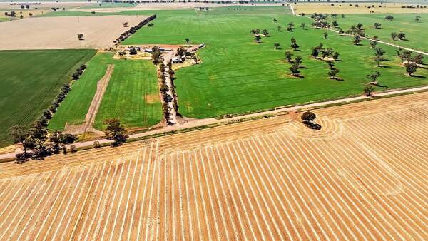 Rent tax: Payments between family farm trusts face shock hit under Labor revamp