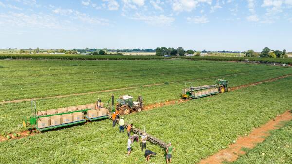 Why the world's biggest food producers aren't always the biggest suppliers