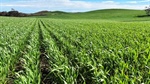 Spring harvest | Two more big farm portfolios join a growing list of sales