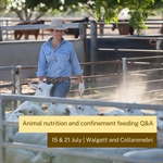 Q & A on Livestock Health, Nutrition and Confinement feeding with Dr Jillian Kelly