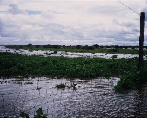 flood11