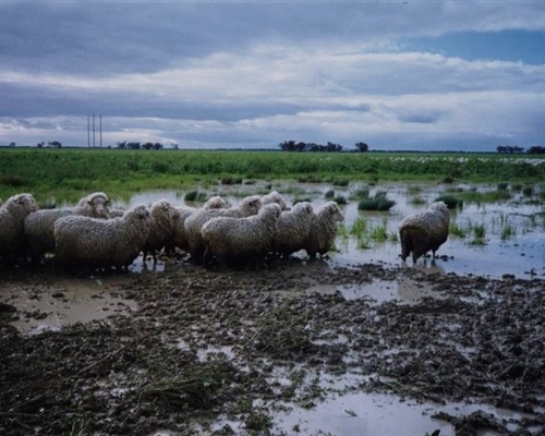 flood12