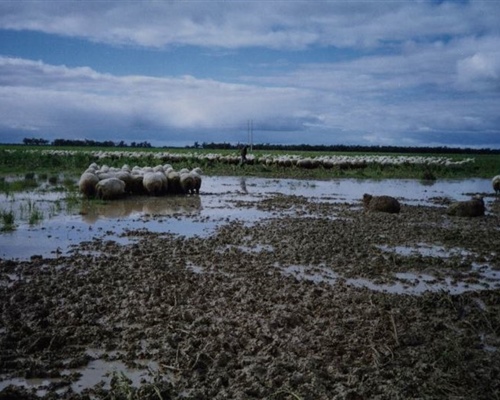 flood13
