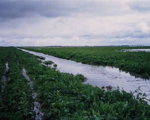 flood14