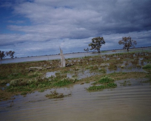 flood5