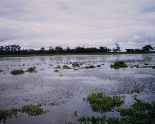 flood7