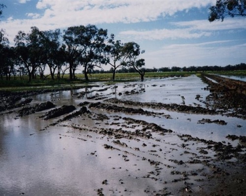 flood9