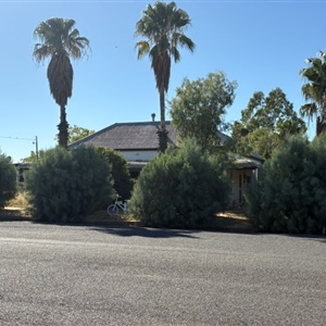 6 CBC Bank