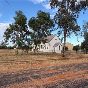 10 Catholic Church