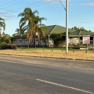 1 William Houlahan town and property owner now Junction City Hotel