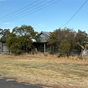15 Ruby and Bill Arnold’s House