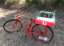 PO Painted bike