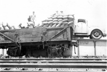 Loading the bags of wheat at the station