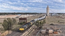 Loading Wheat train 